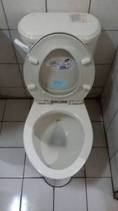 專業清理廁所C